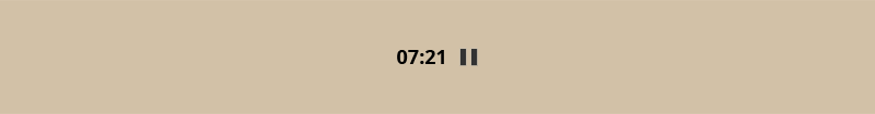 Timer mit Pausentaste